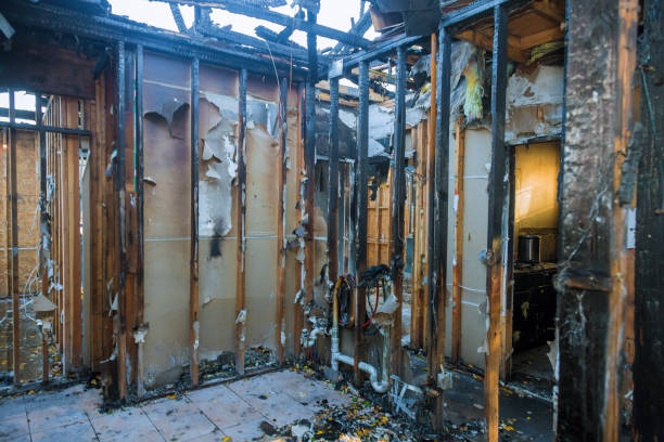Professional Emergency Fire Cleanup technician working in Albers, IL